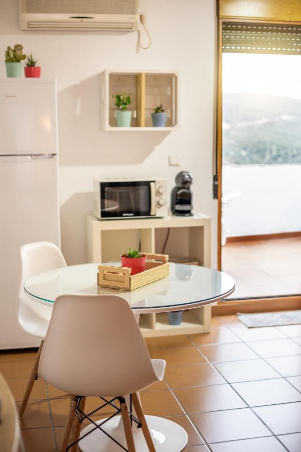 Apartment Siente